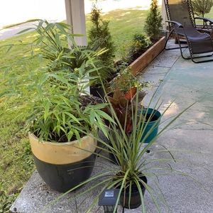 Meet your Posher, Phayvanh